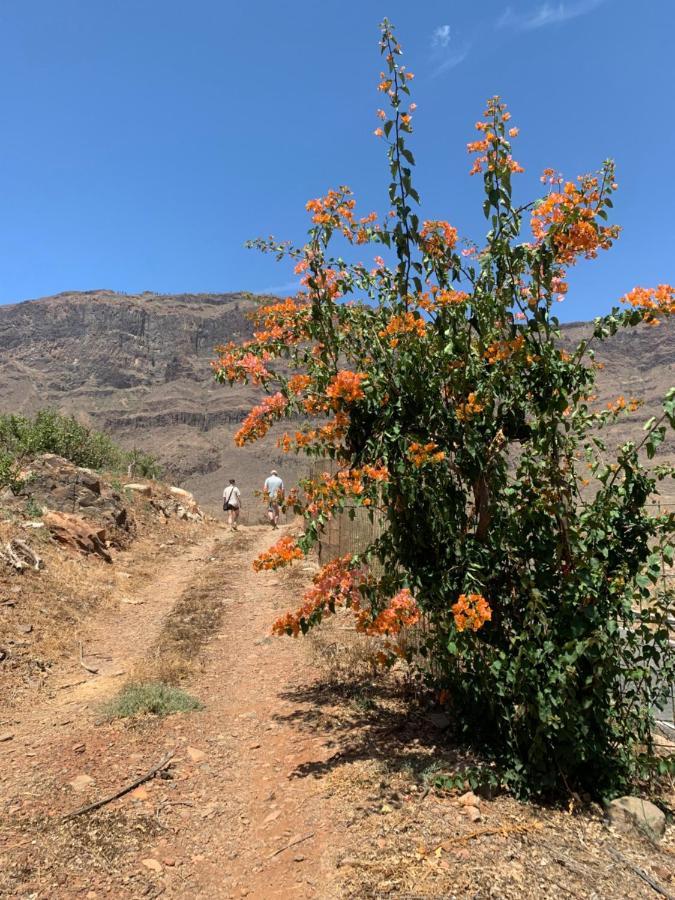 Hotel Masai Mara Resort Gran Canaria San Bartolomé Екстериор снимка